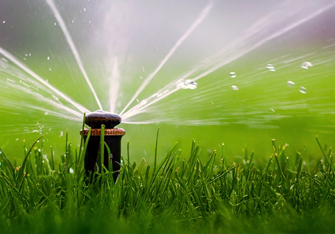 Irrigation Services