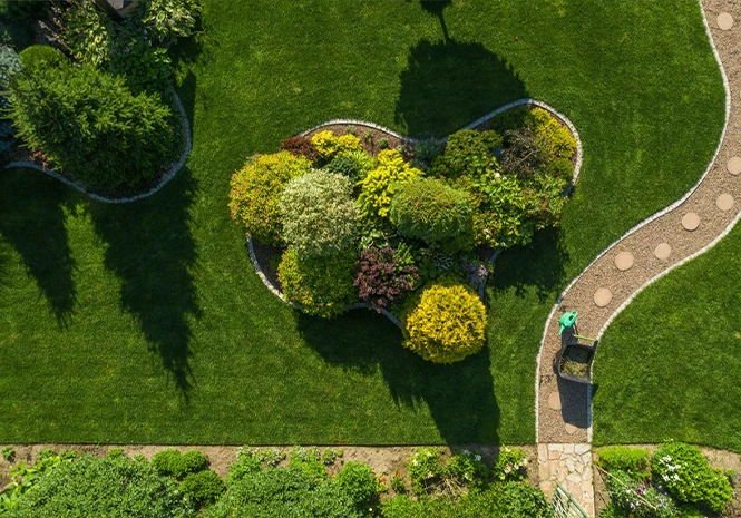 Landscape Design & Installation