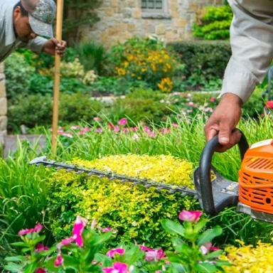 Landscape Maintenance