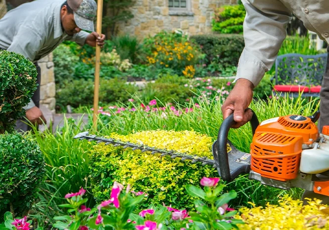 Landscape Maintenance