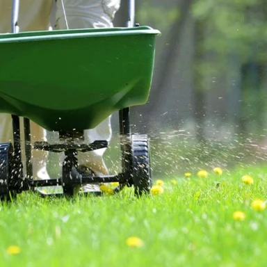 Lawn Care Services