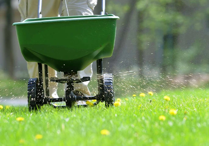 Lawn Care Services